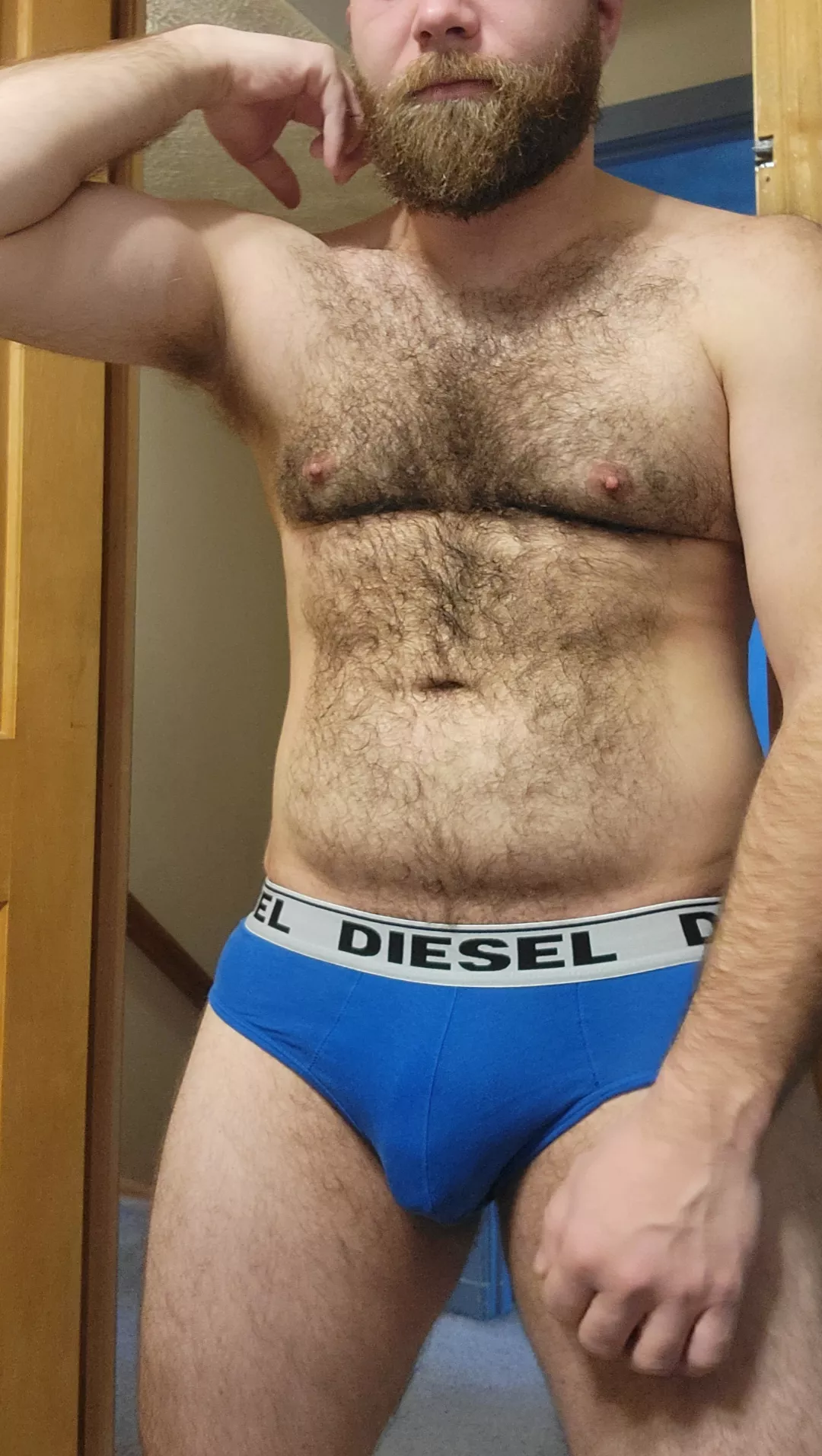 Those brief can barely contain me when soft posted by hairyMtl