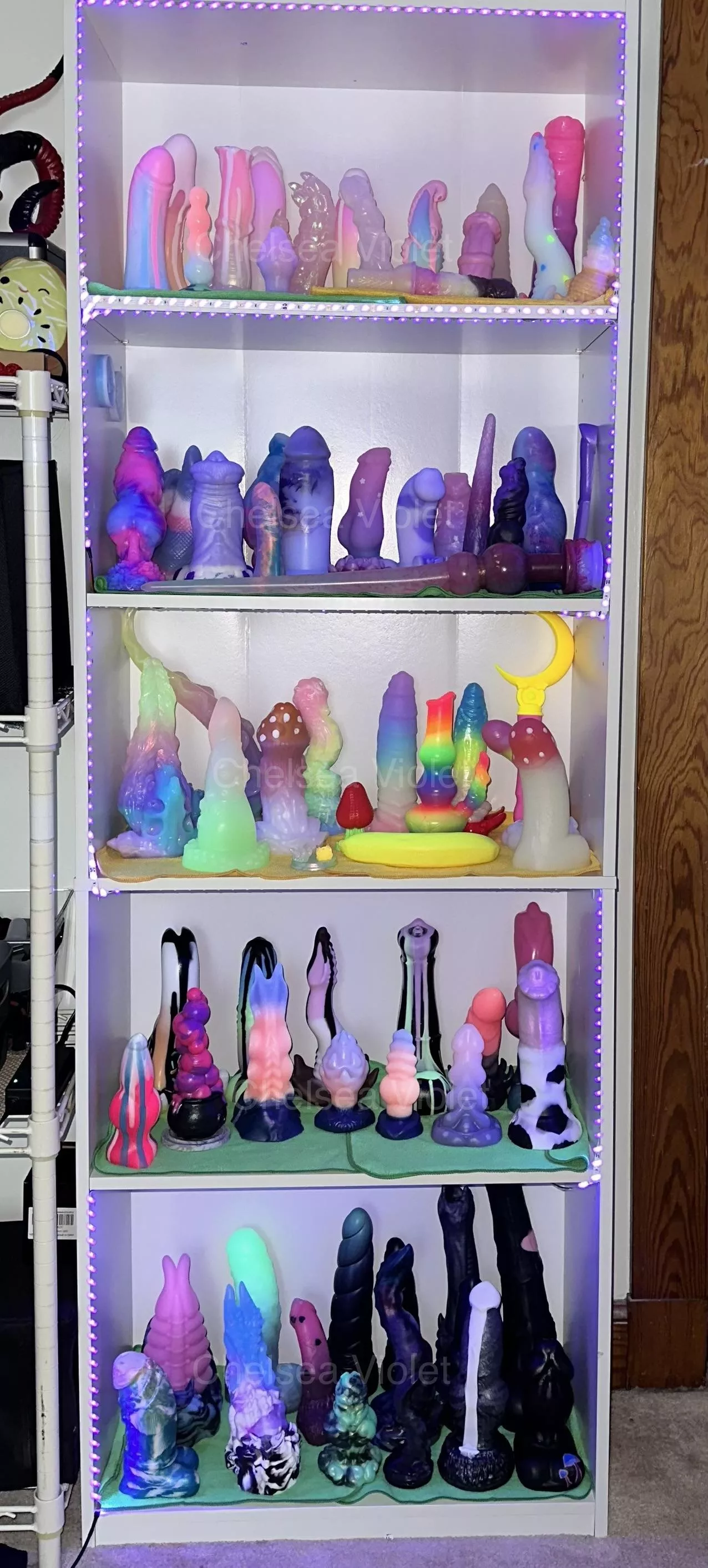 Updated collection picture! Which is your favorite toy? posted by ChelseaVioletx