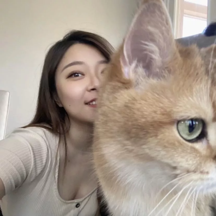 WZ2 posted by yoodton