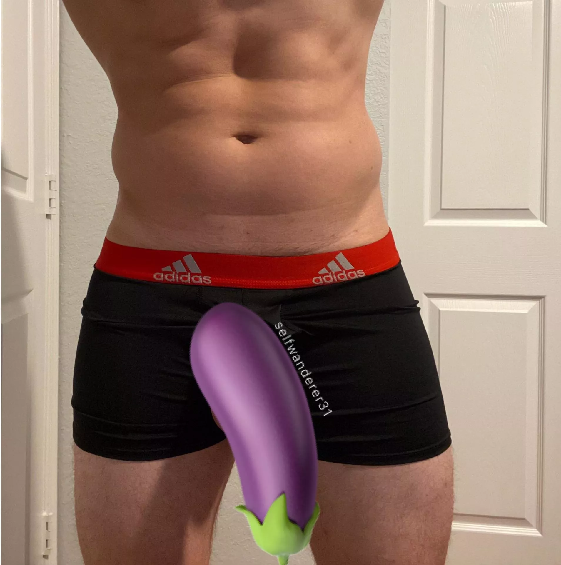 31 M South Florida - experienced clean bull in Broward, Palm Beach, FL area posted by selfwanderer31