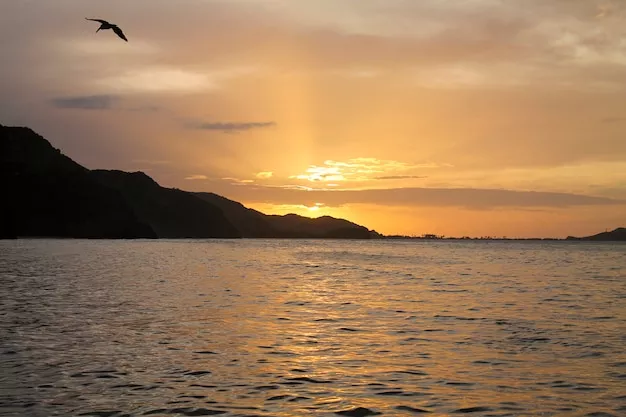 beautiful sunset on the beach posted by Valentina69hot