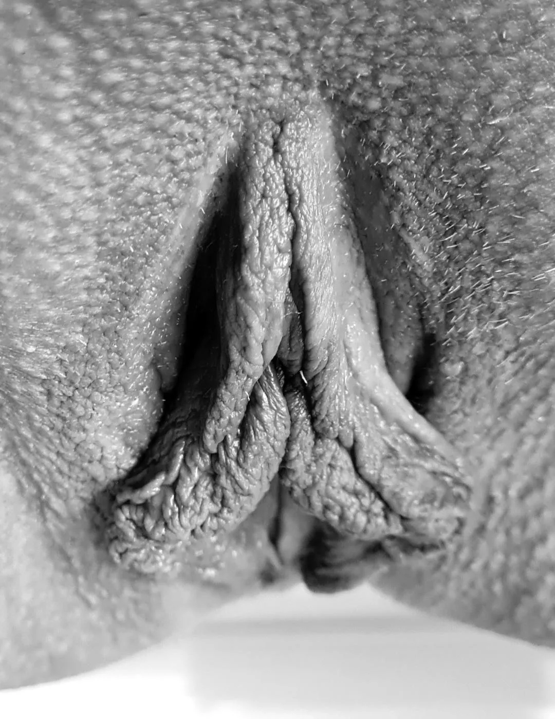 Do u like my Pussy? posted by Analitas