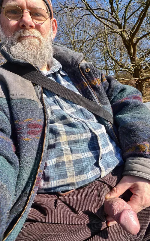 erection on a public bench by TheNudeMike