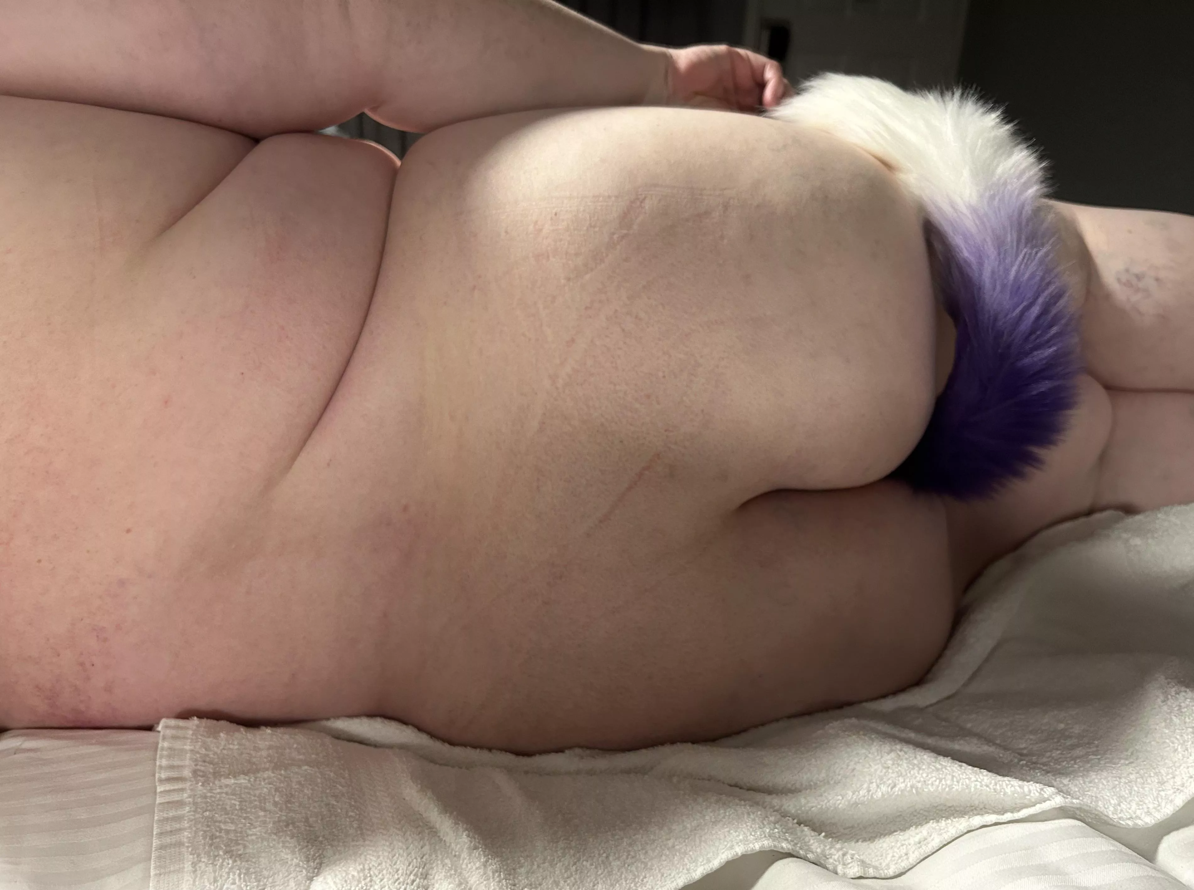 First Tail posted by Reddloveshead