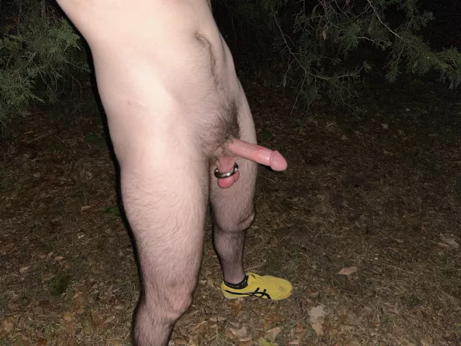 I decided to have a little walk in the woods by Mysecretotheraccoun2