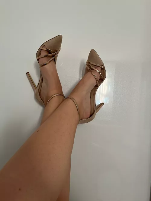 Just say it i love your feet and come lick them by carsexteen