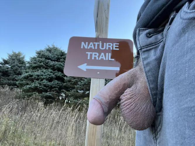 Should I follow the trail or get lost in the woods? by nudework