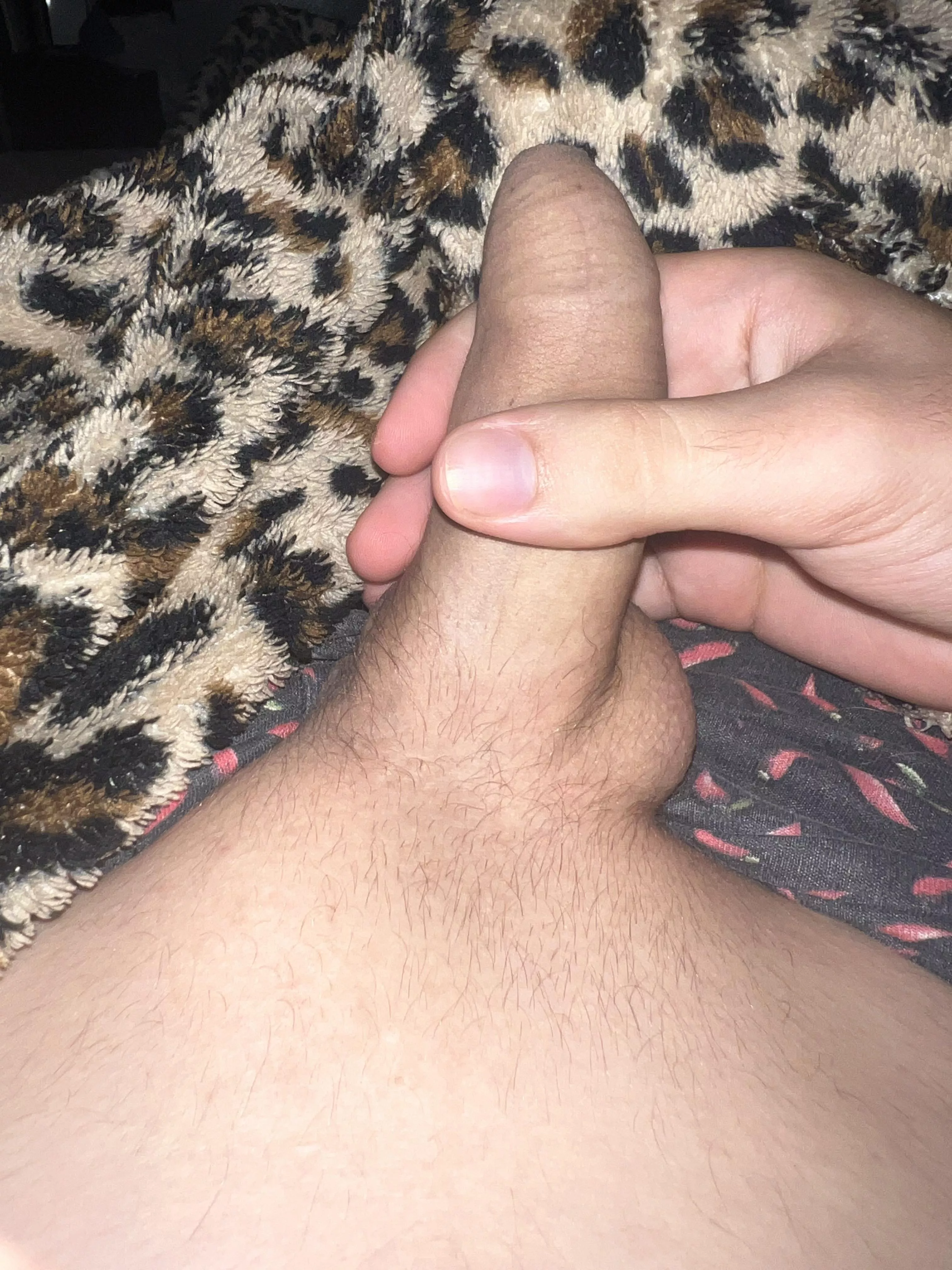 Anyone likes thin pubes [21] posted by LukeCinnabun