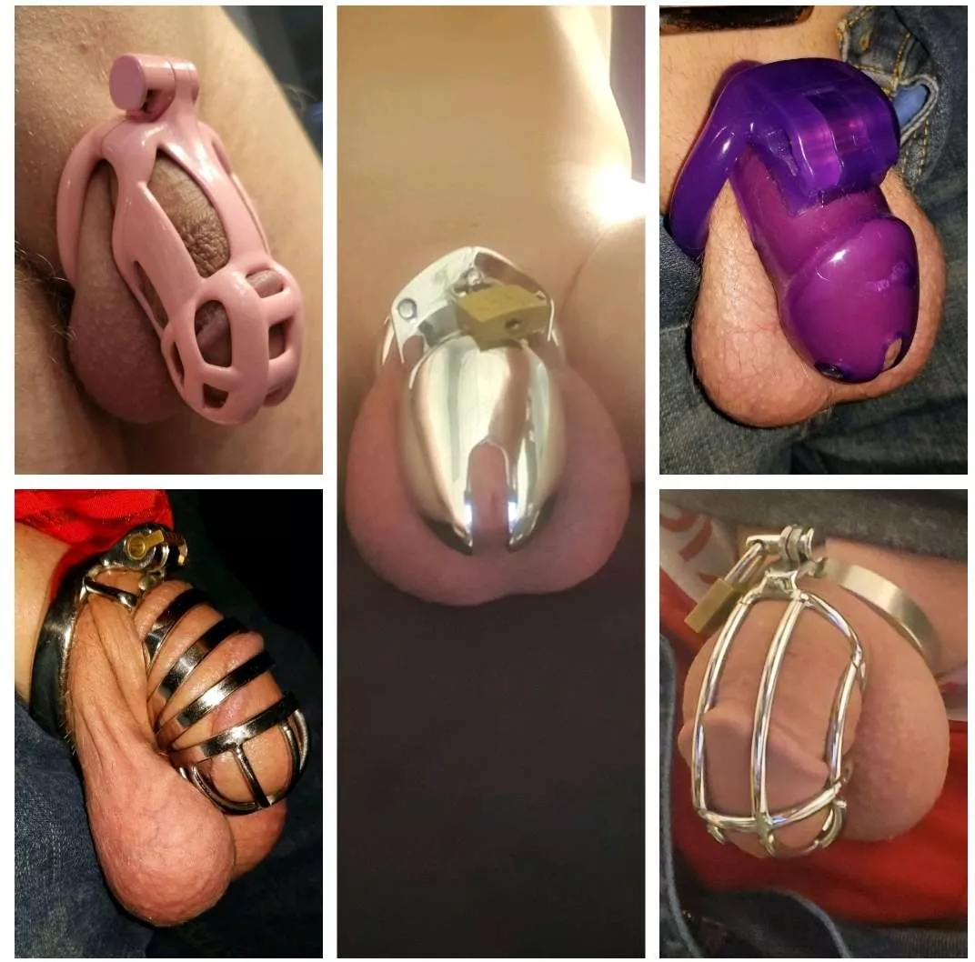 Love my collection! What's your favorite? posted by MartinN112