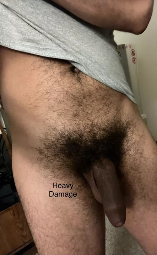 Love my dense bush. by HeavyDamage2726