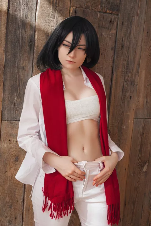 Mikasa by CarryKey by CarryKey