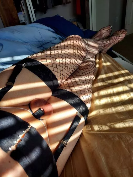 New cage, easily the smallest ive had, when should i unlock? posted by LockedInStone420