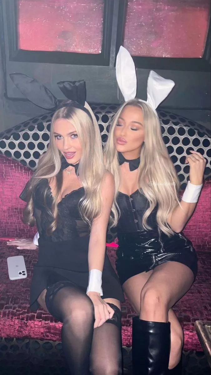 Pick your halloween bunny [2] posted by HardJoydick