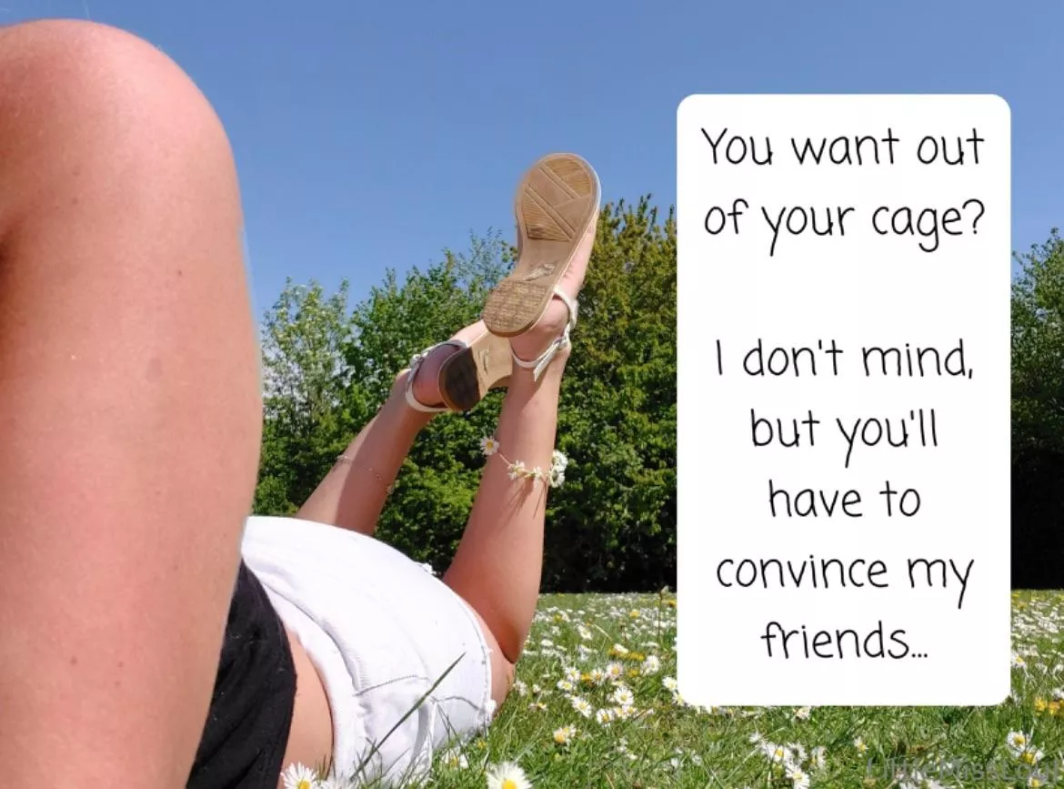 Want out? posted by cheeeeekymissy