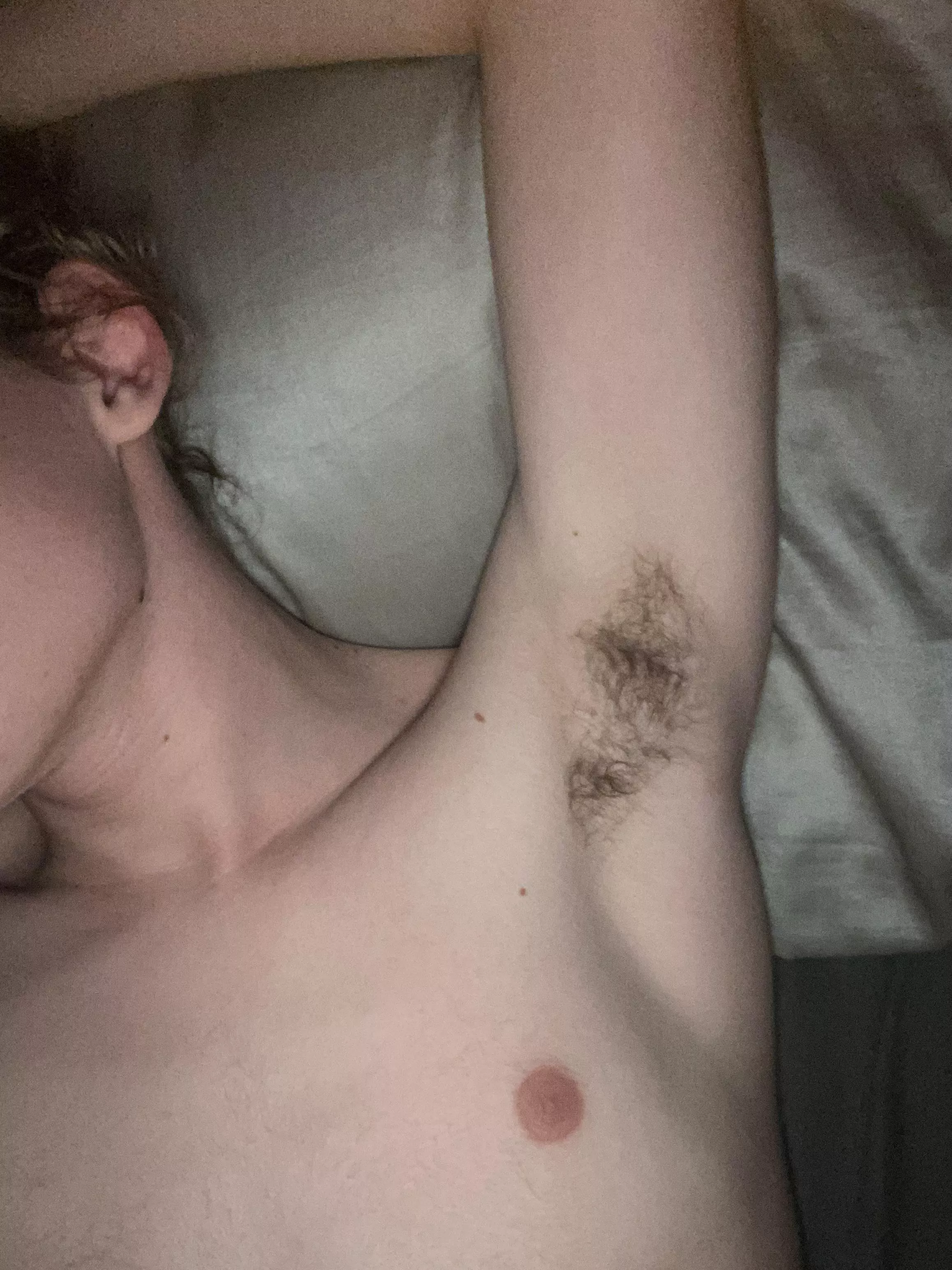 Who wants a sniff? posted by boxsqaush