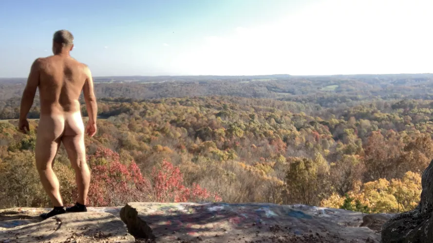 Who’s up for an adventure with dad? (55) by aitor33