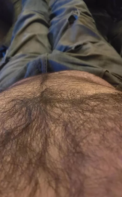 Work done....should I relax now? by HairyDiplodocus