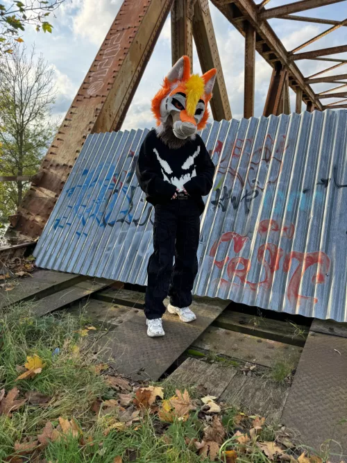 Careful, this fox does have teeth and is not afraid to bite 🦊 🦷 ~ by Render_yip