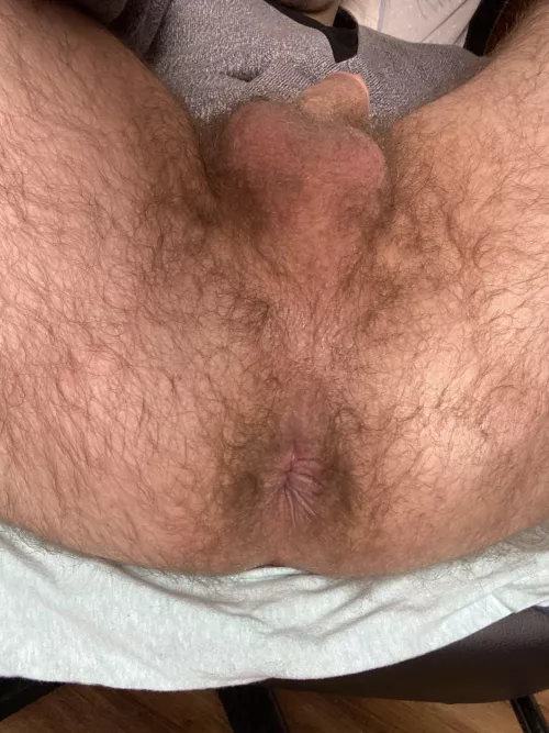 Hairy hole by gaypeople2012