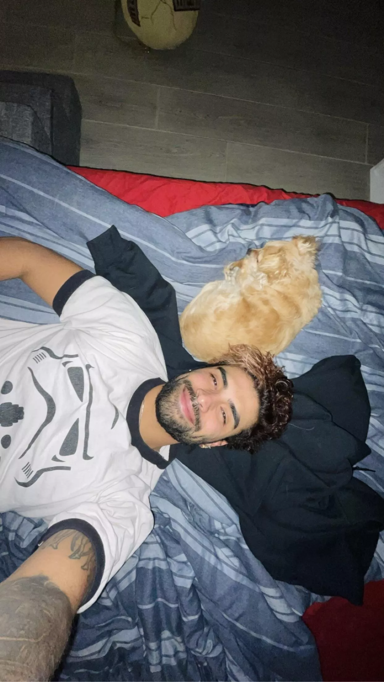 House sitting is fun when they have pets posted by Remysmokesalot