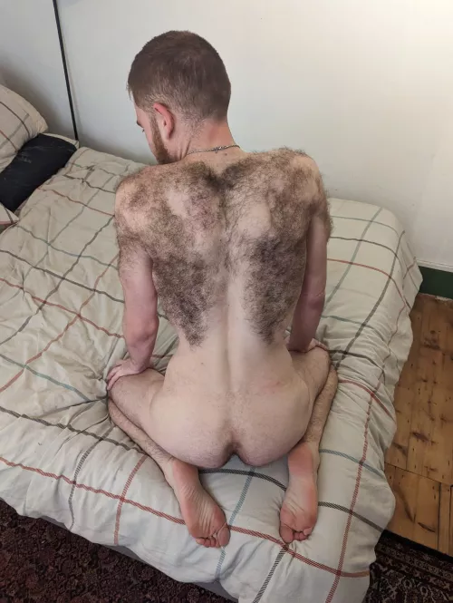 How do people feel about hairy backs? by wilburswain12