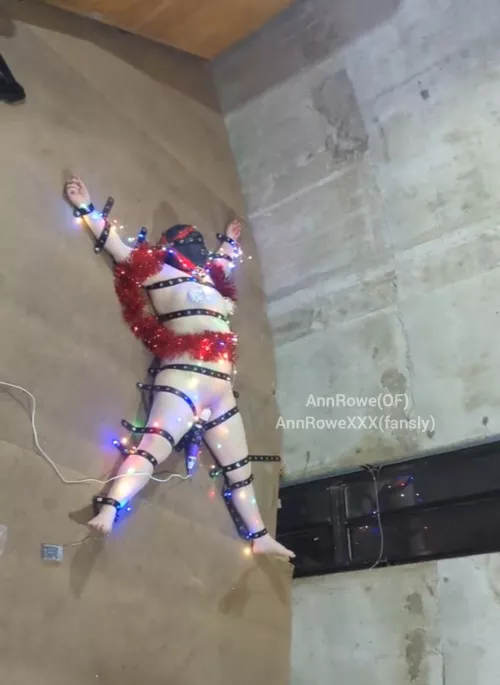 I'm a Christmas starfish! With some additional toys attached by AnnRoweX