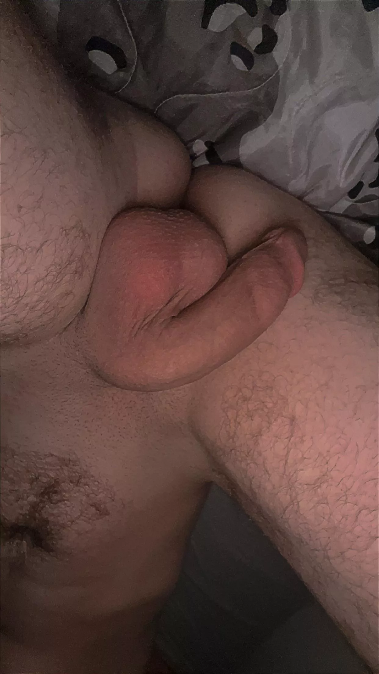 I’ve always kinda hated my softie but here it is anyways 🫣 posted by thatonebadmf