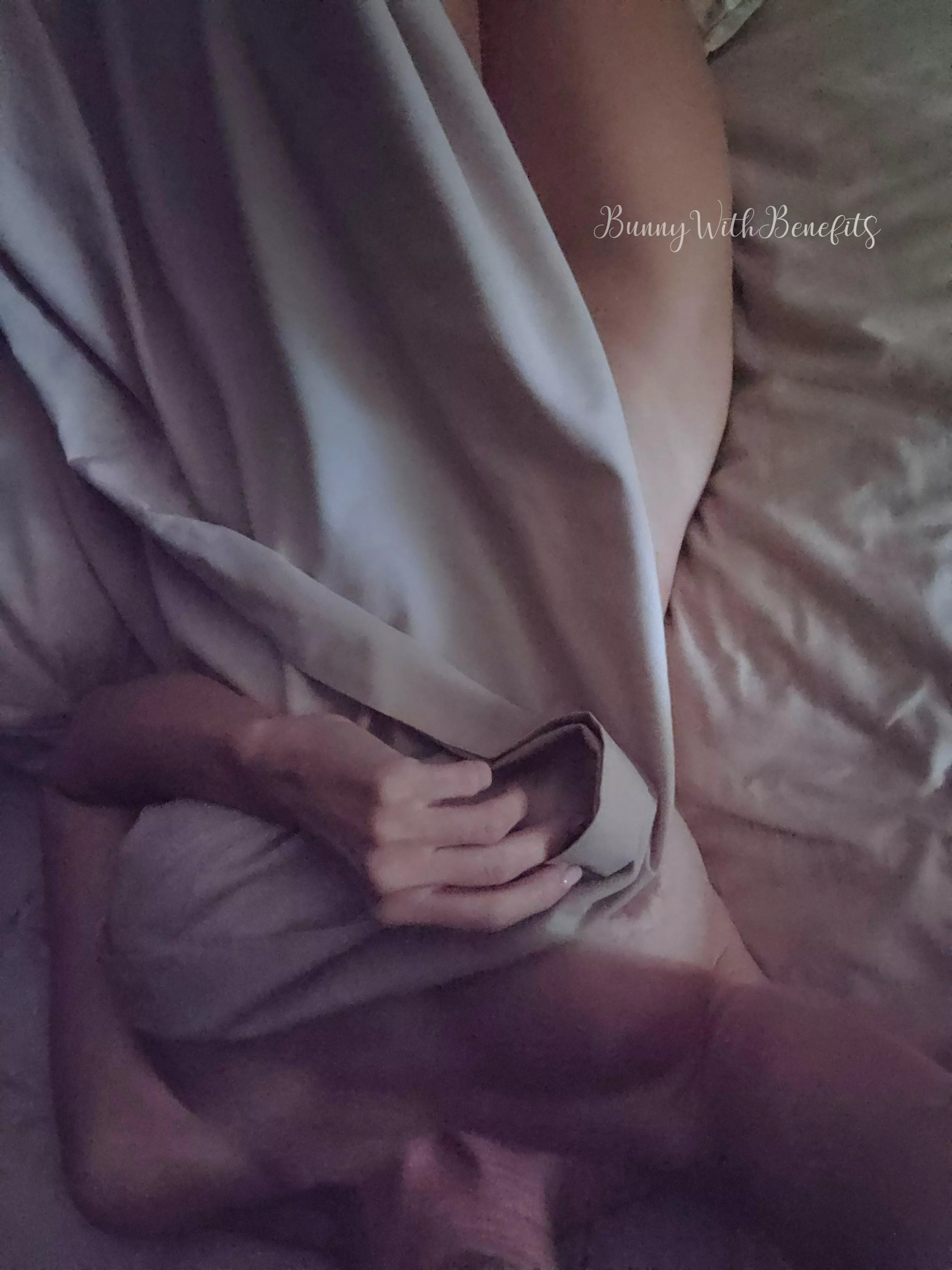 Letting that sunshine peek in... posted by bunnywithbenefits