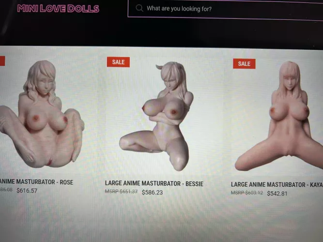 Looking for anime style masturbators or mini sex dolls. Any legit/reputable websites you recommend? by Sad_Detail_1301