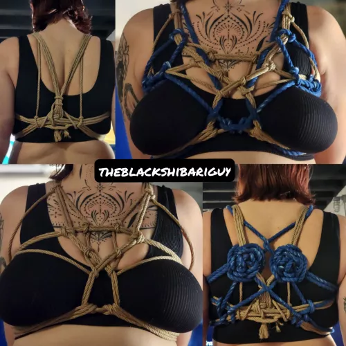 Simple chest harness with a little add on for some colour. by Theblackshibariguy