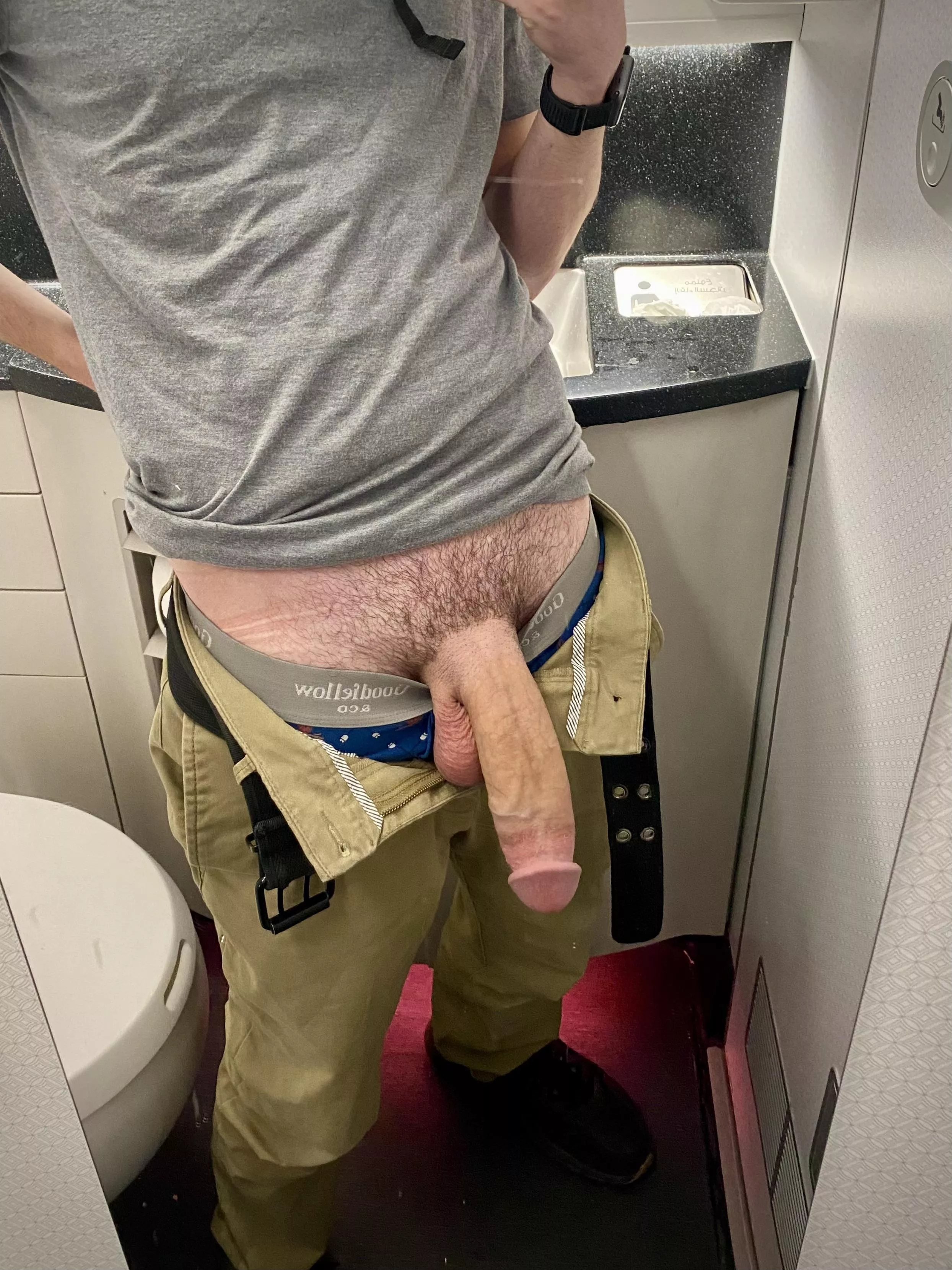 Can my cock be your in flight entertainment? posted by VitisViniferaVine