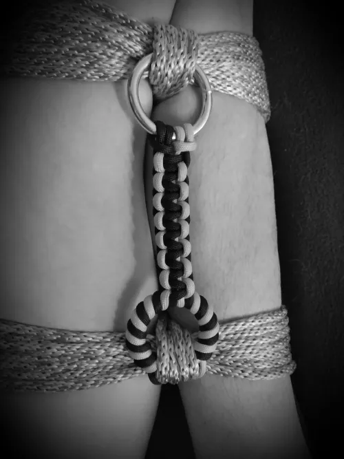 Futomomo with rings and paracord by robo_dwarf_hamster