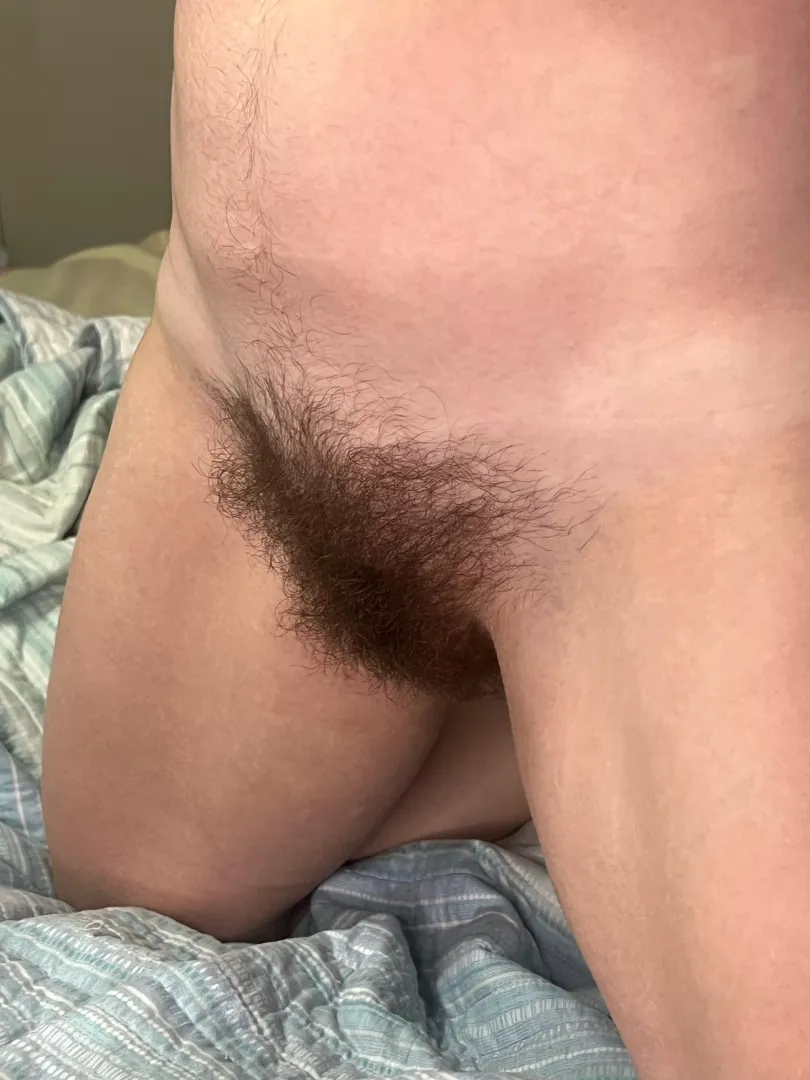 Let me rub my bush all over your face posted by nerdylittleplaything