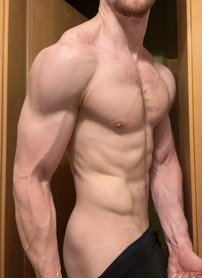 Post workout pump [M] posted by Empaaah