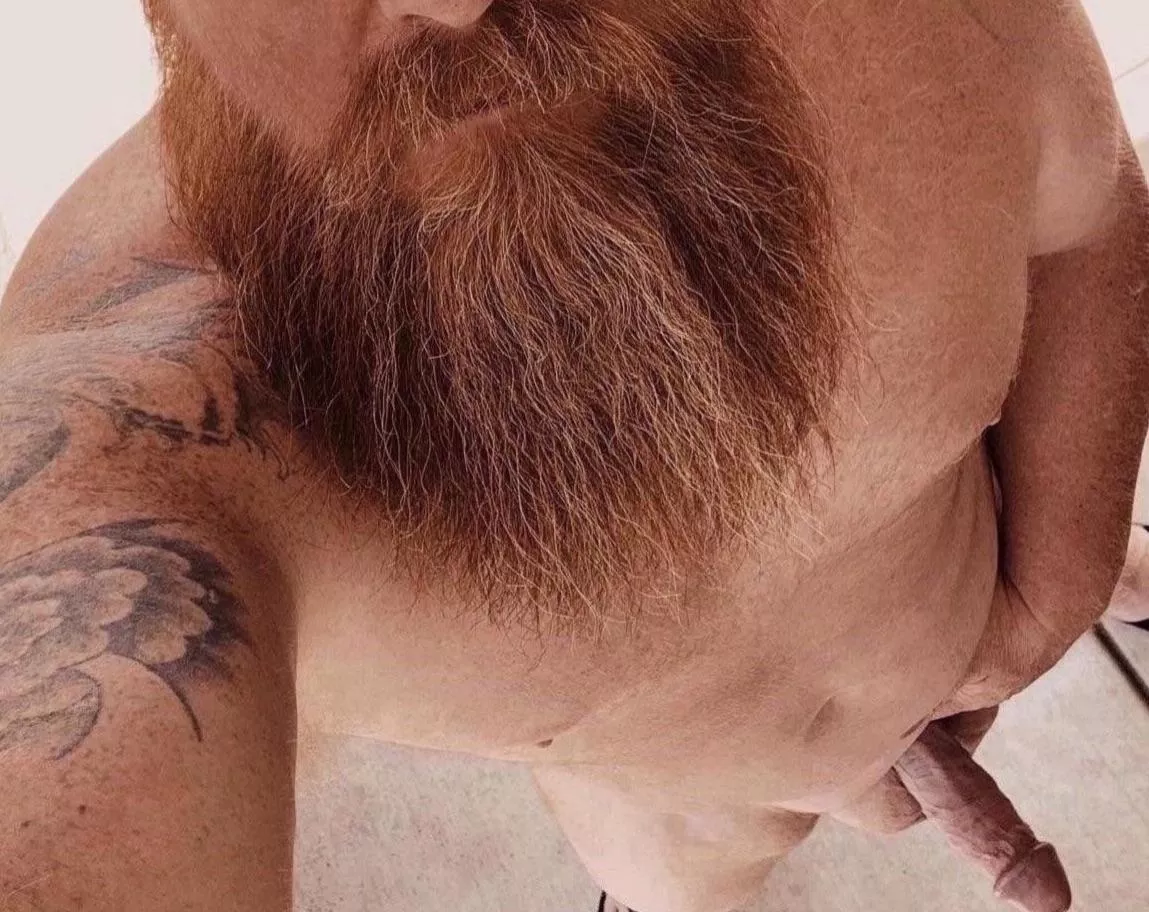 Saturday Vibes posted by beardedheathen69