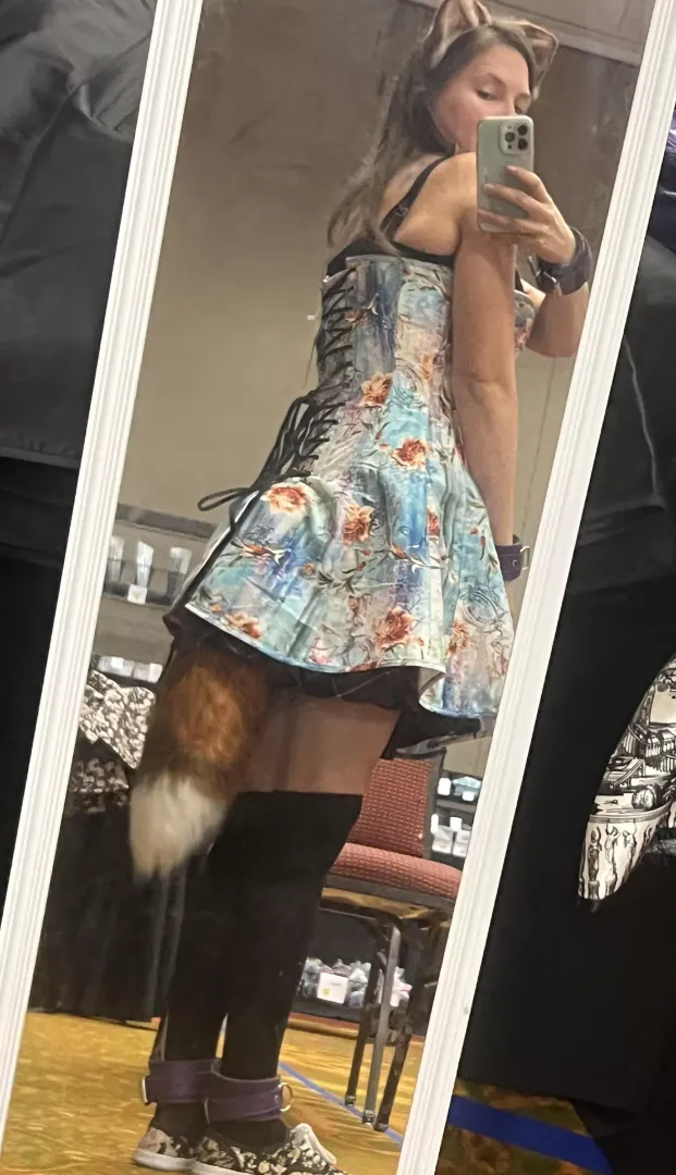 Went out today! Do you think anyone noticed my tail 🤭😋 posted by Foxsplatter