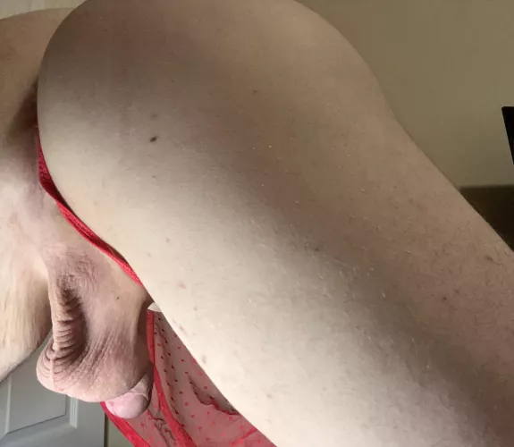 Which are you touching first?? by Super_Ordinary_7891