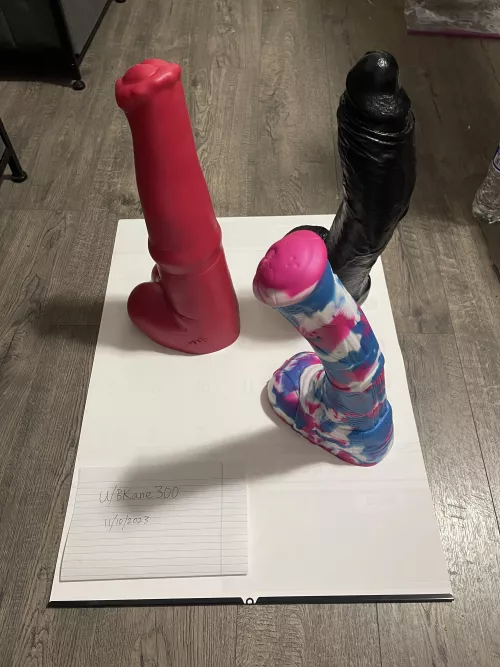 WTS XL&L BD by BKane300