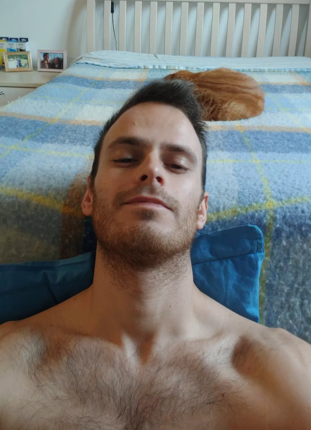 [25] Good morning guys, how are you doing today?😇 (my cat says hi as well) posted by frax_98