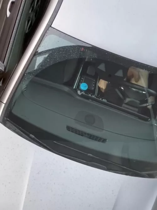 Flashing for my neighbor by MisterXL