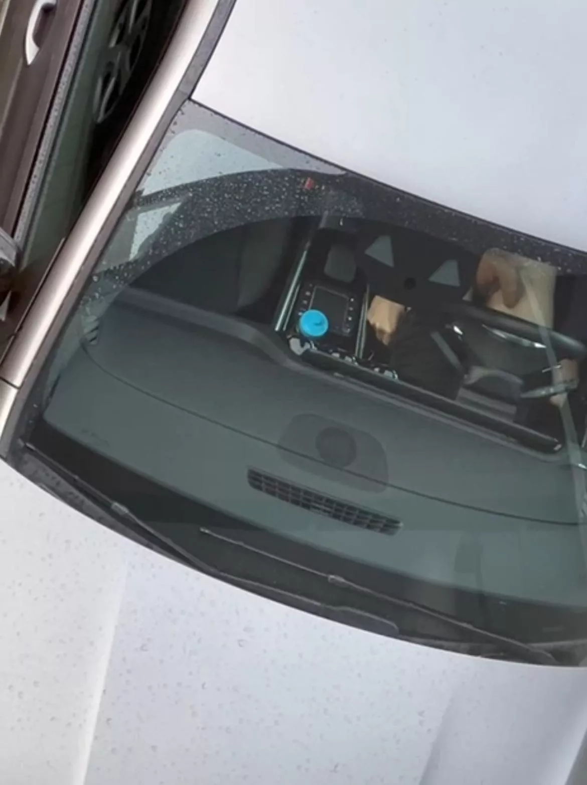 Flashing for my neighbor posted by MisterXL