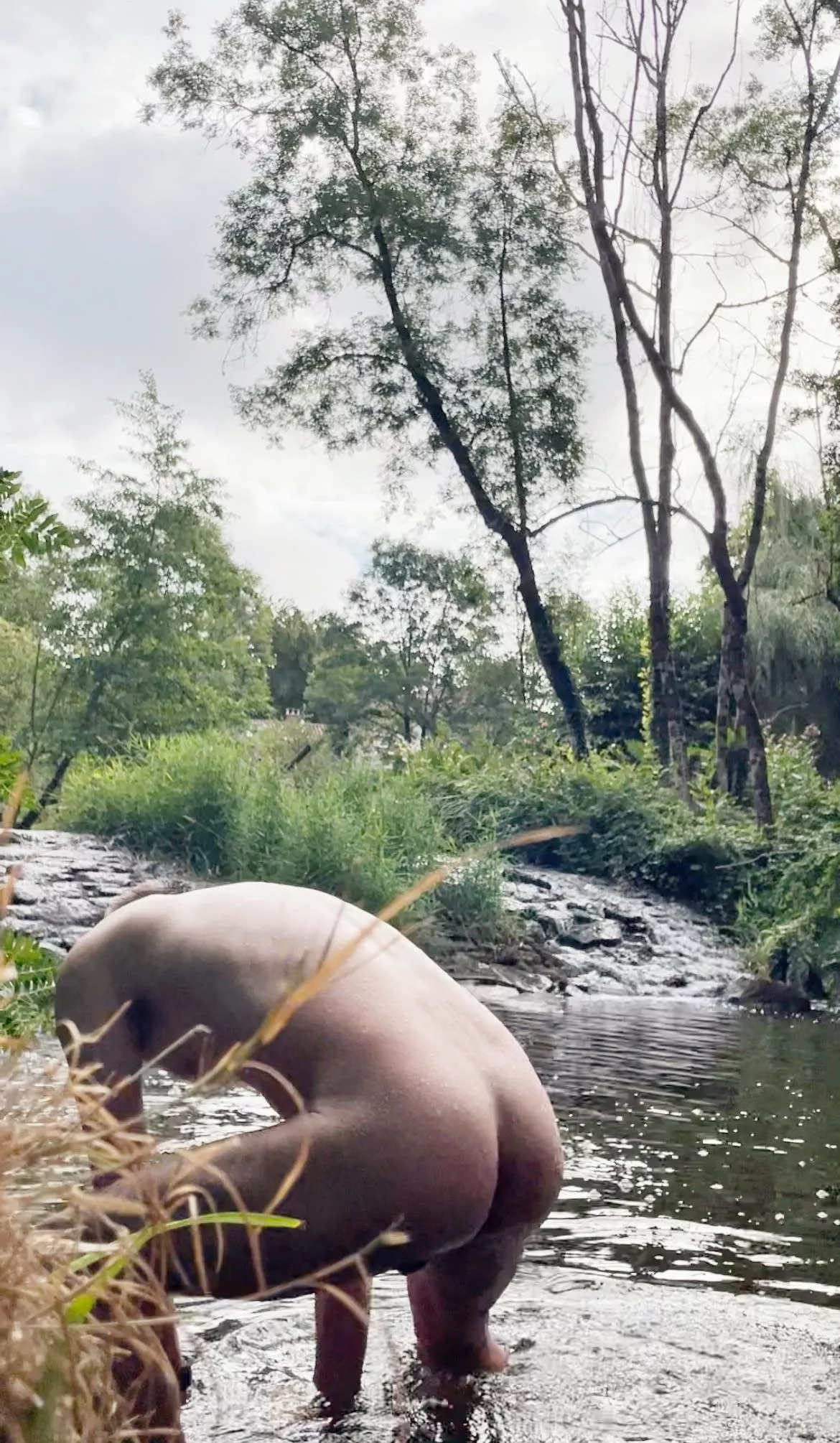 I'm not a Terminator, honest posted by lycyou