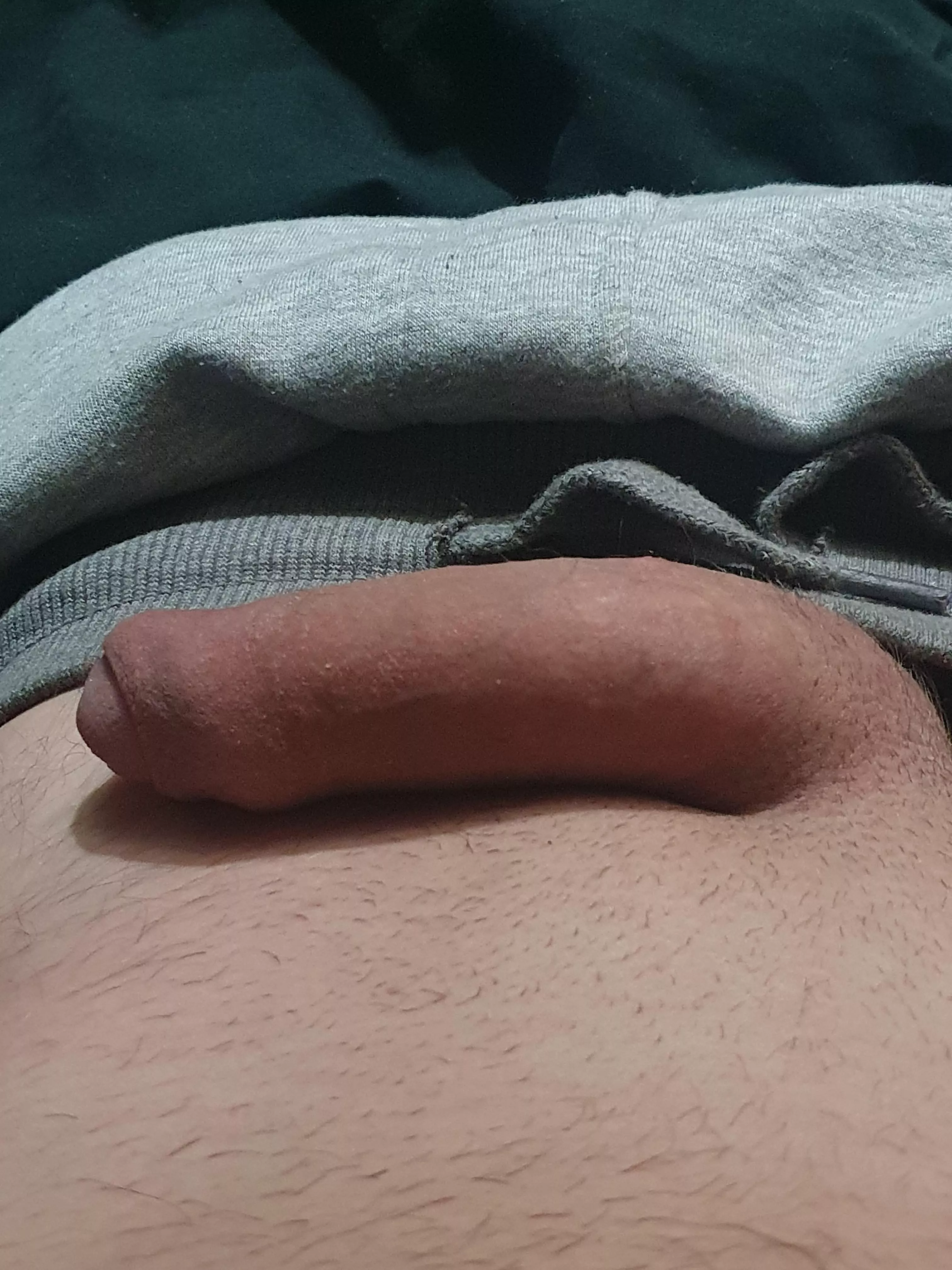My flaccid posted by Chemical-Worker-1224