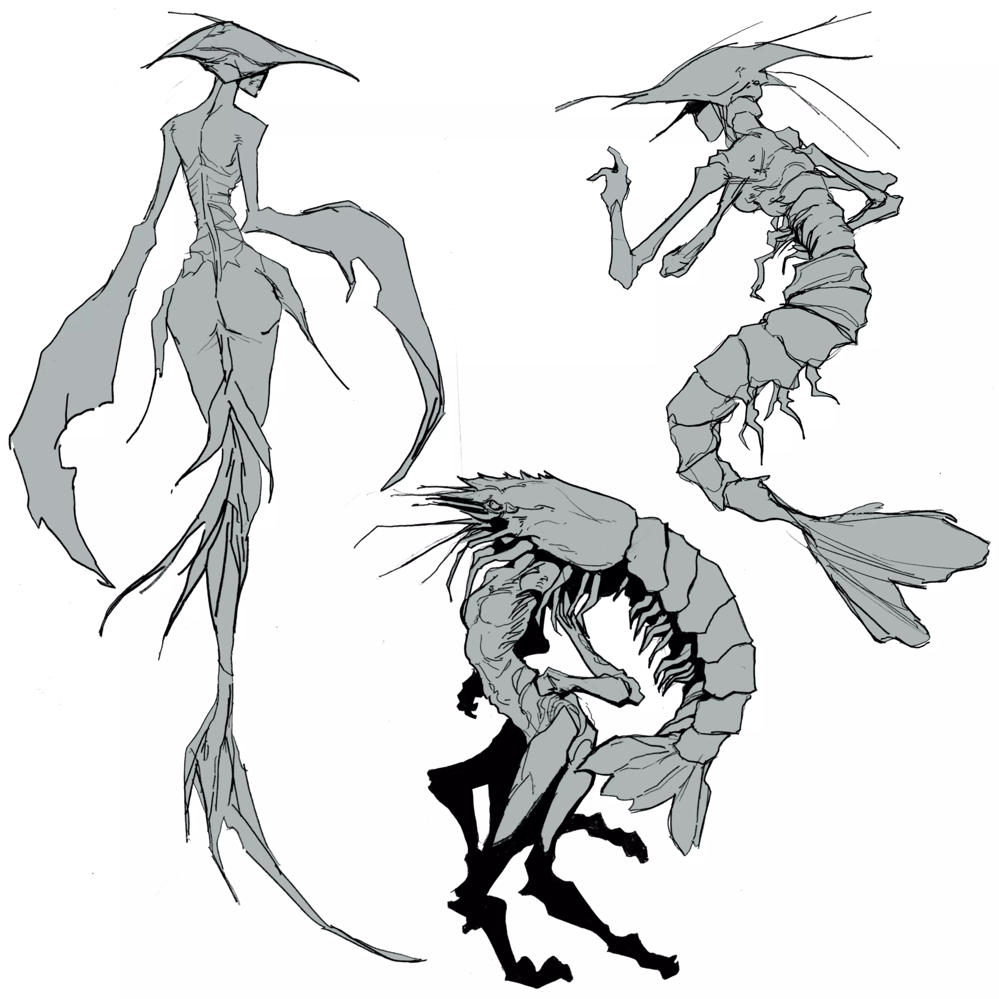 Shrimps, by Me posted by BruhTheSinner