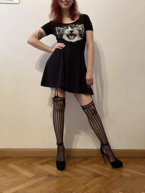 There are two kitties in the pic. One of them really likes being rubbed and kisses hehe (@dellasweets) [onlyfans] by Dellasweets