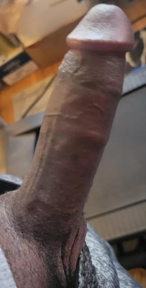 Trace the lines by Shot_Motor_311