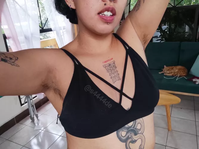 we love fur in this house😹 by s4444de