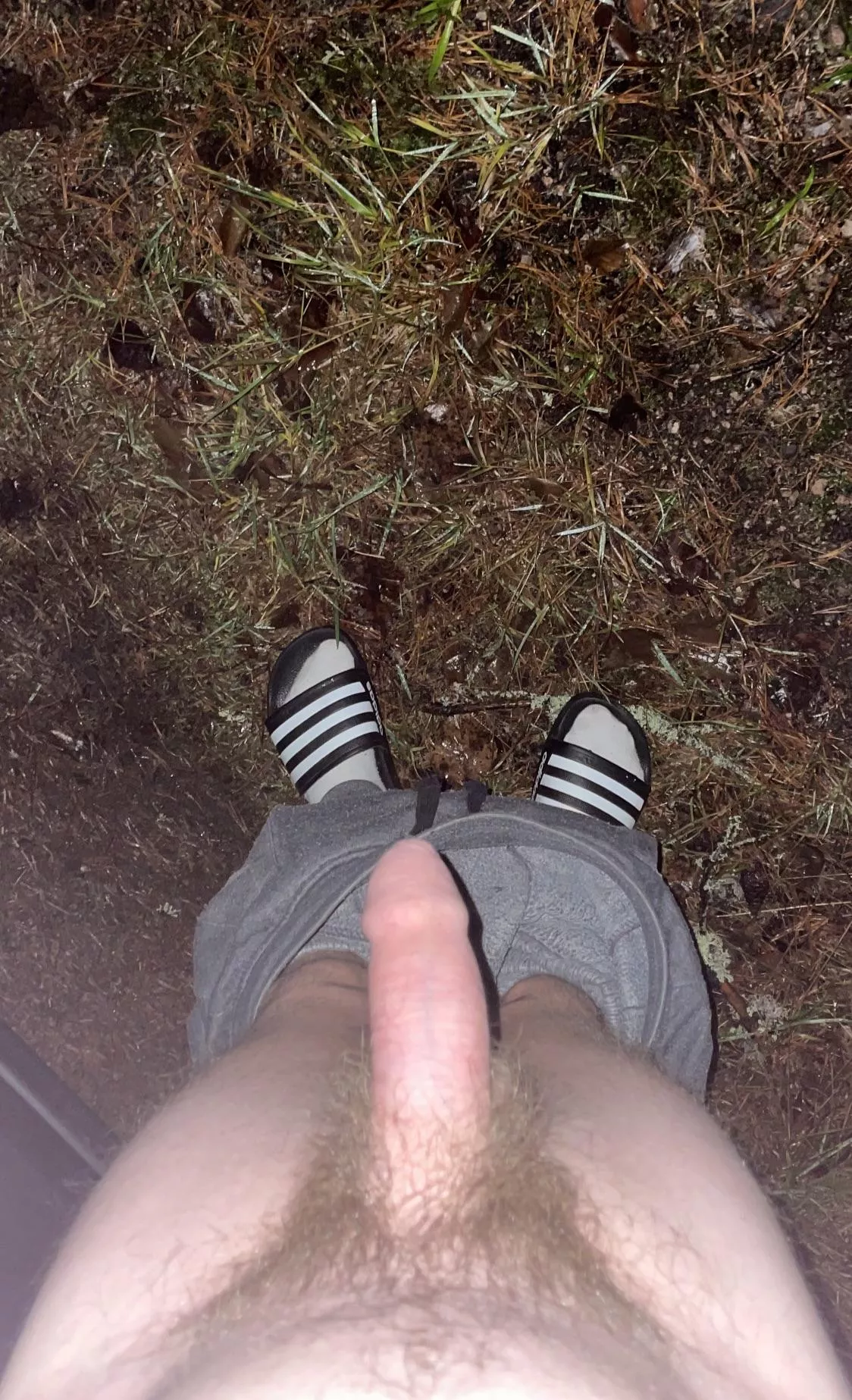 Bush in the bush. posted by Cool-Veterinarian974