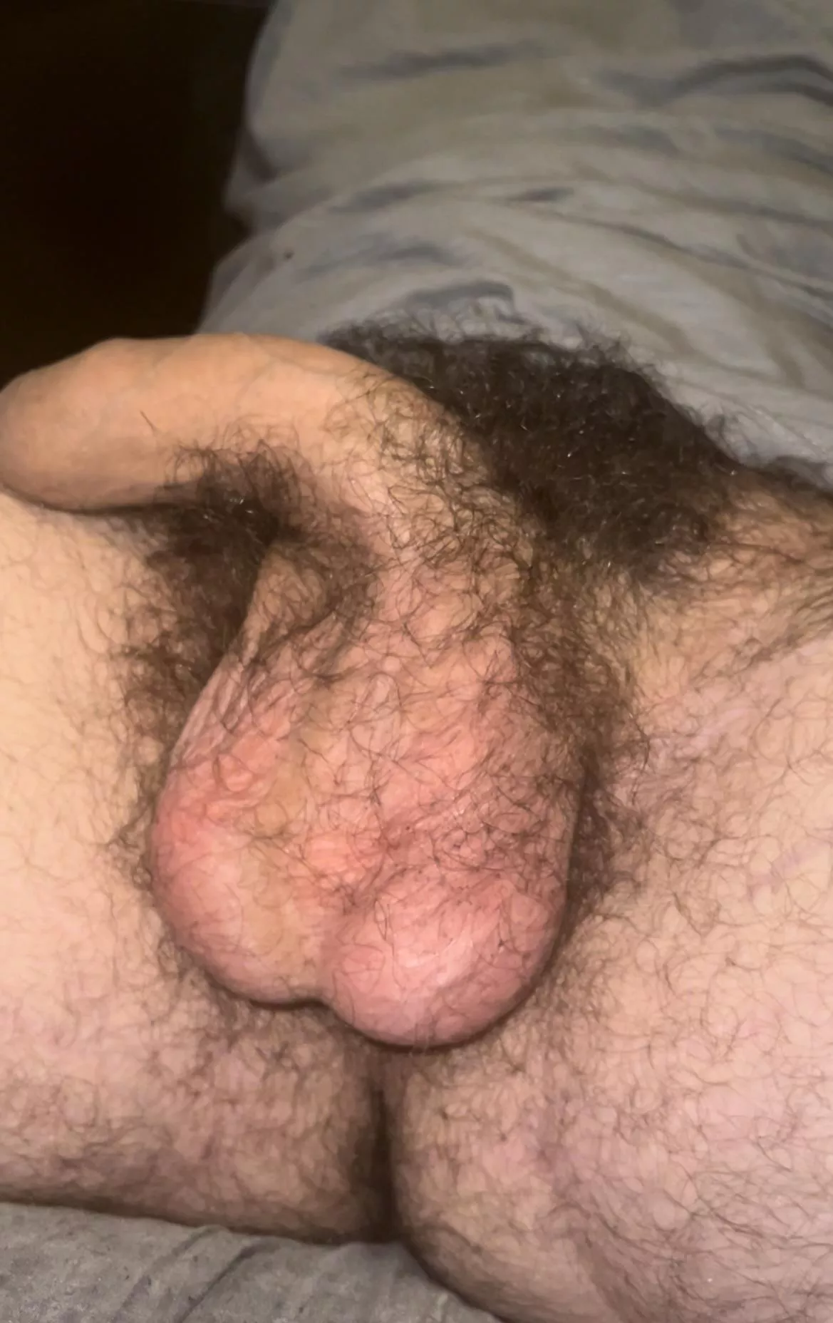 Could you handle my giant bush?😏🍆Dms open😈 posted by HungYoungAlpha-