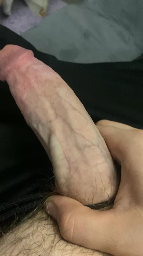 Happy Sunday evening 😉 dm open by Able-Grapefruit8576